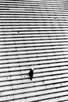  AA6-1973 Fillette sur l'escalier Paris 